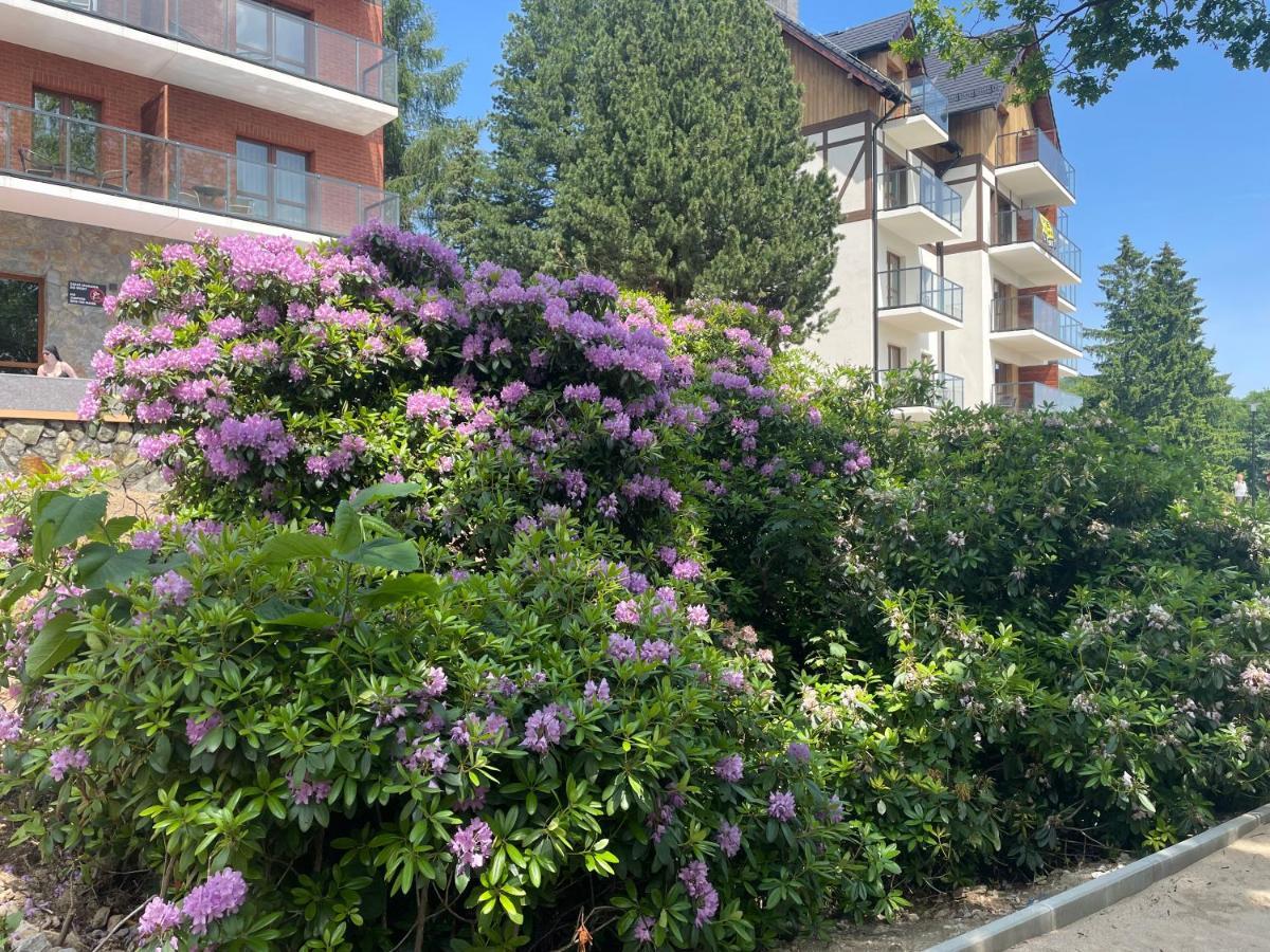 Apartament N&B Szklarska Poreba Bagian luar foto